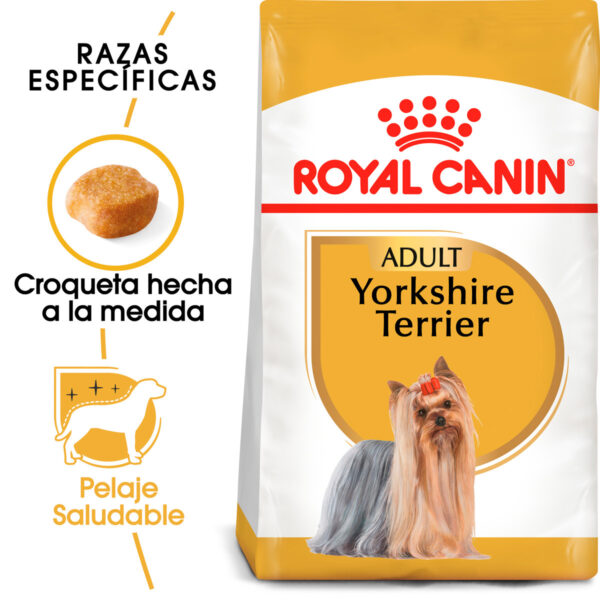 Royal Canin Alimento Seco para Perro Adulto Raza Yorkshire Terrier, 4.5 kg - Image 2