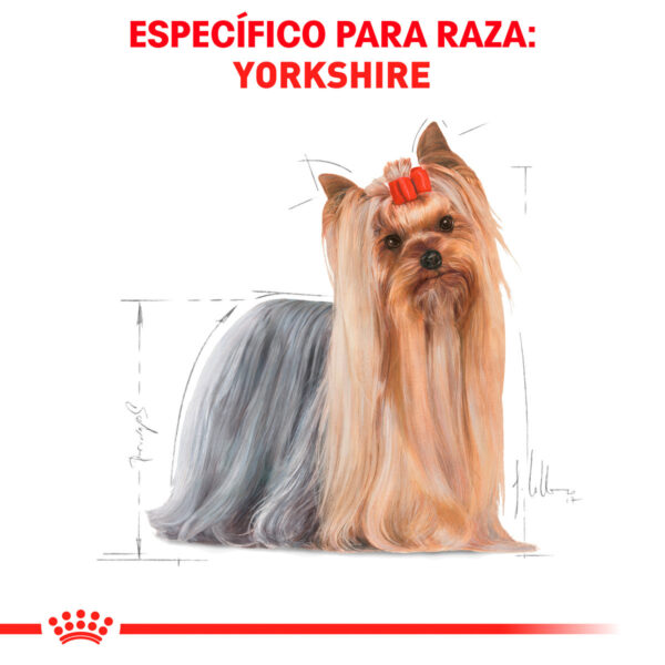 Royal Canin Alimento Seco para Perro Adulto Raza Yorkshire Terrier, 4.5 kg - Image 3