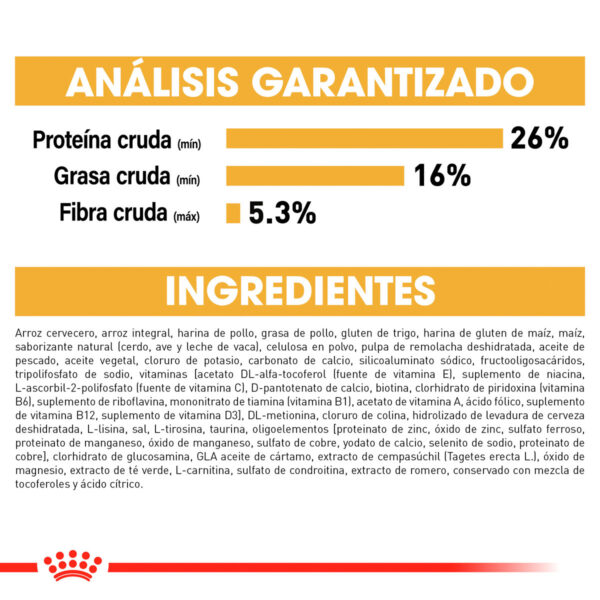 Royal Canin Alimento Seco para Perro Adulto Raza Yorkshire Terrier, 4.5 kg - Image 7